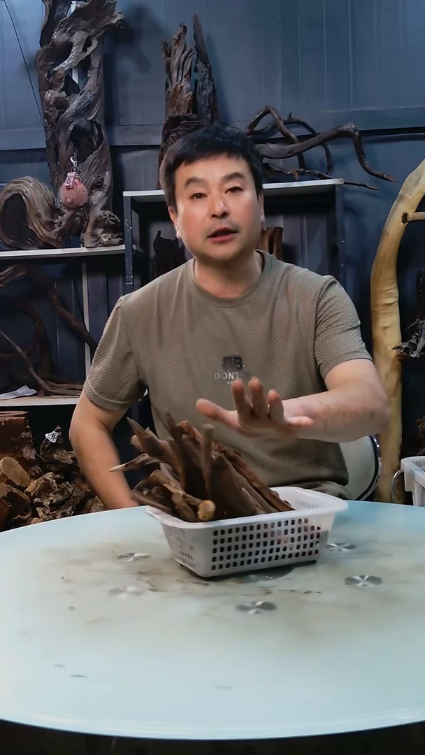 随机发货一筐迷你枝条19.9