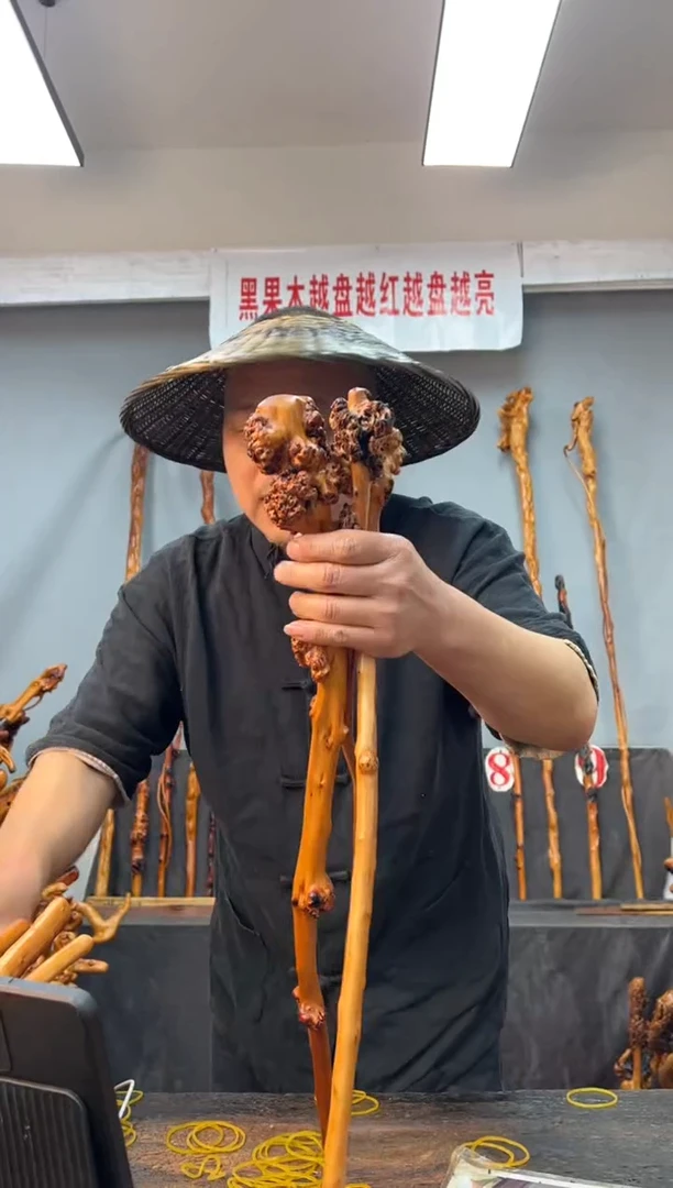 【闪购商品】黑果木其他黑果木102