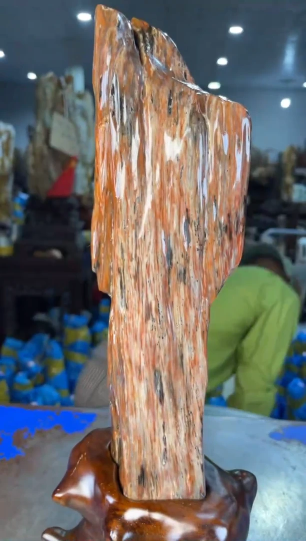 未镶嵌摆件硅化玉10