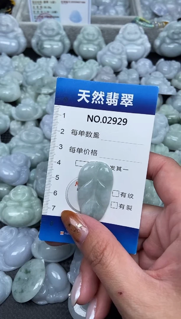 颈饰未镶嵌翡翠纯天然A货翡翠2929