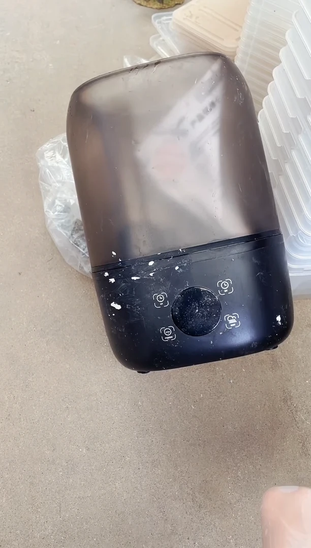 脏脏新派加湿器1个