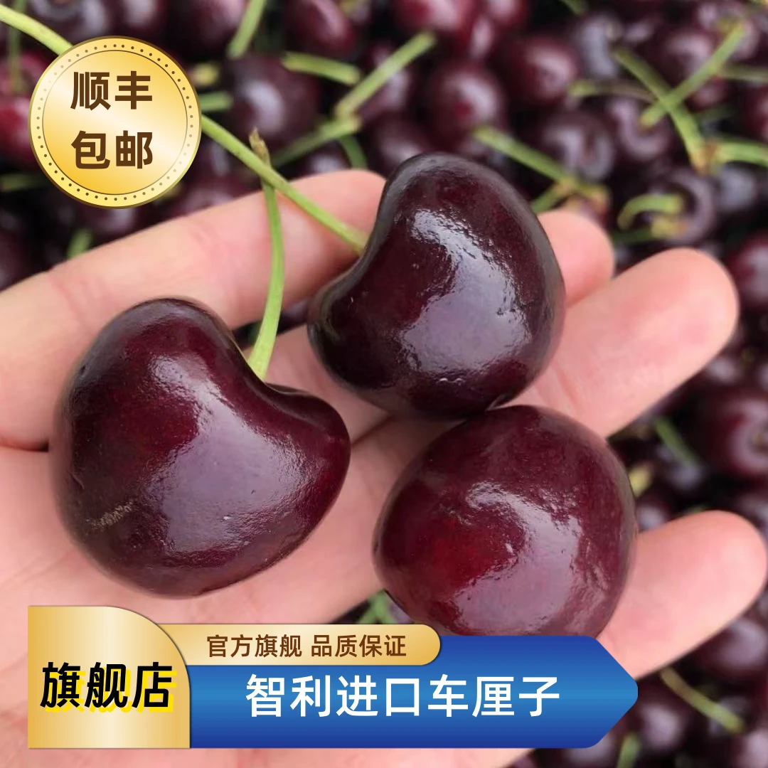 【双旦浮力】1-6J智利海运车厘子2斤进口水果当季新鲜内附果径卡