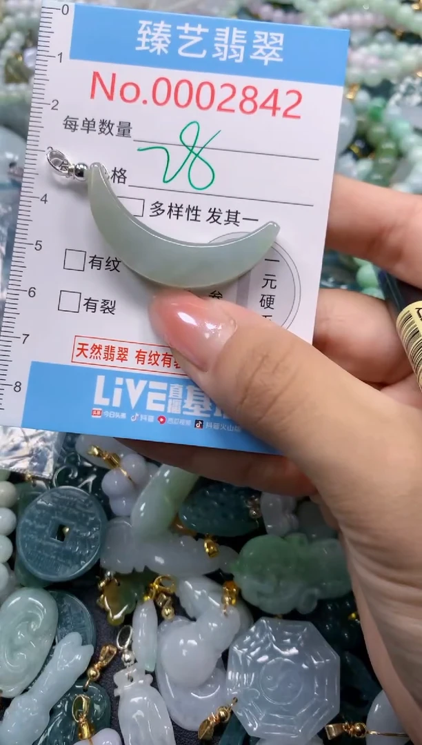颈饰未镶嵌翡翠2842