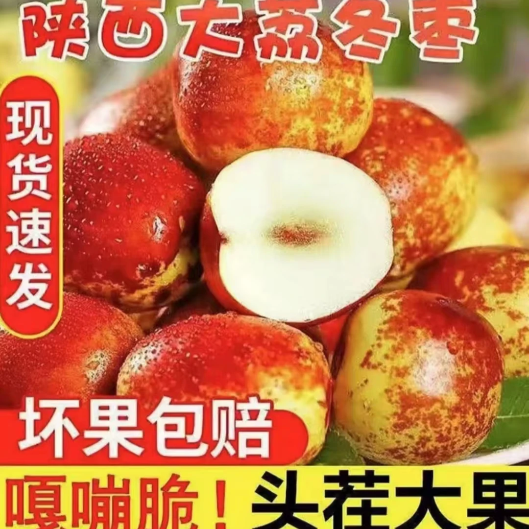 包邮正宗陕西大荔冬枣（5斤特卖款）新鲜现摘现发巨甜爆汁当季鲜果