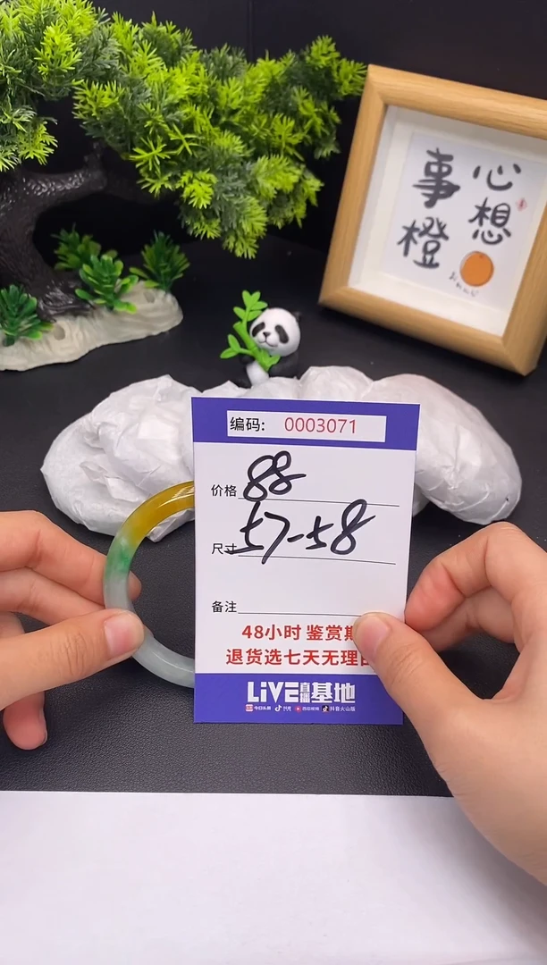未镶嵌手镯翡翠0003071