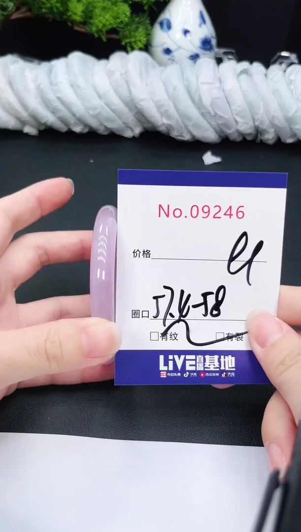 未镶嵌手镯翡翠9246