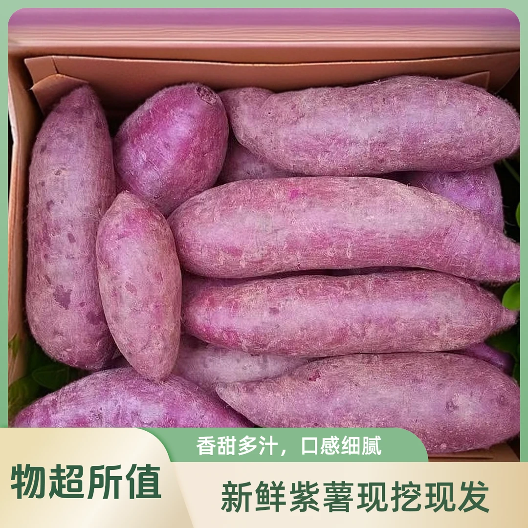 【不好吃包退】沙地紫薯3斤-9斤新鲜番薯地瓜粉糯香甜板栗红薯蜜薯