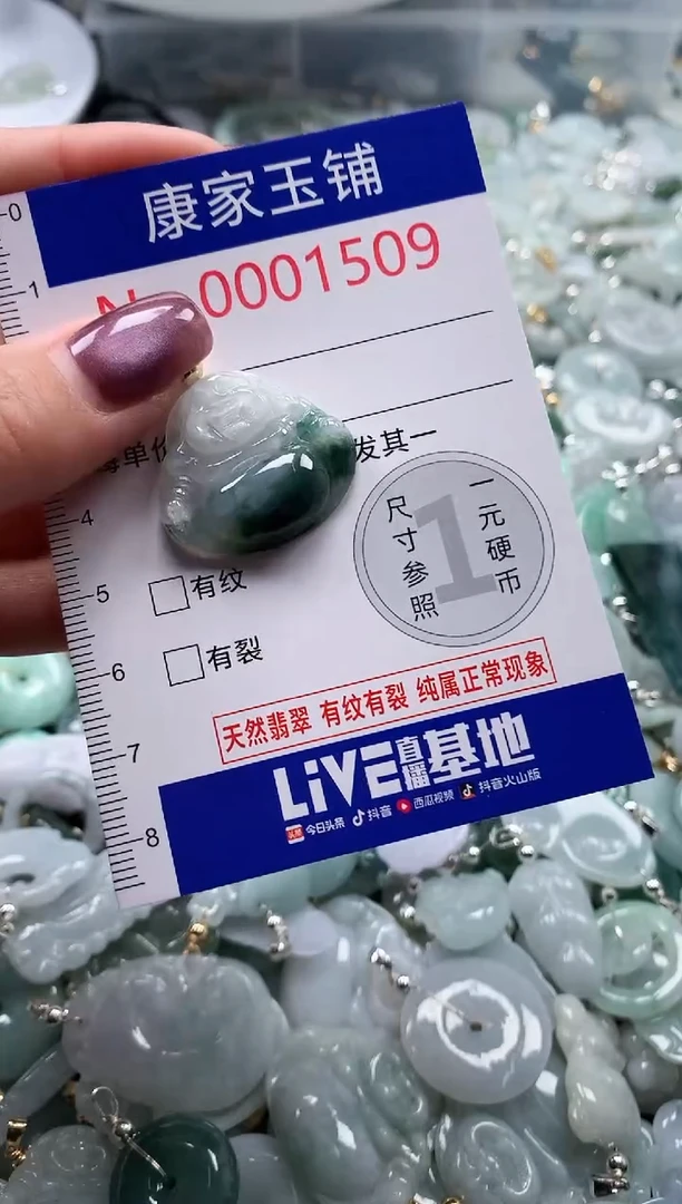 翡翠未镶嵌吊坠(不含链)1509