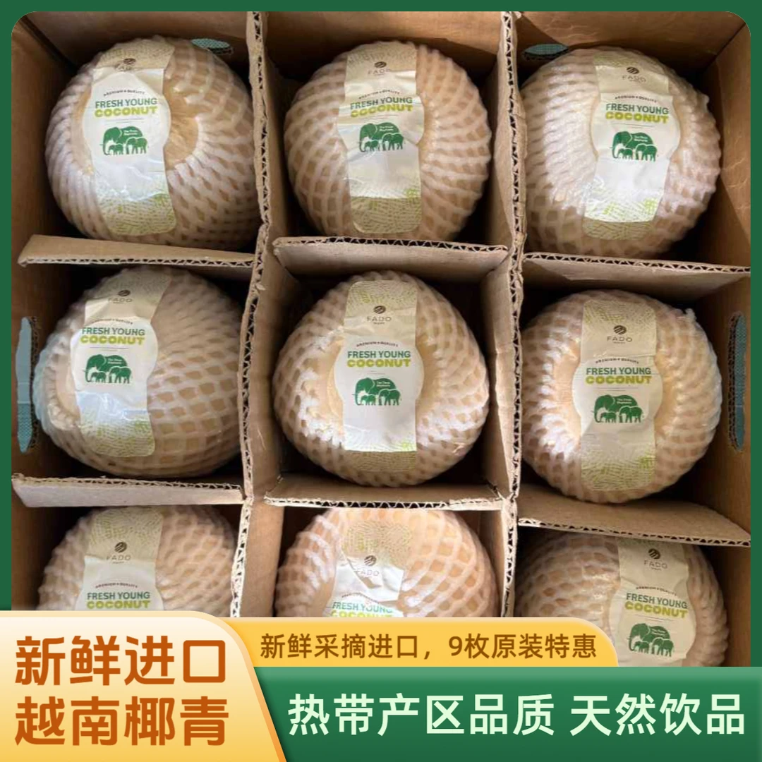 【进口椰青优惠】9枚原箱越南香水椰青850~1200g/枚 送开椰器和吸管