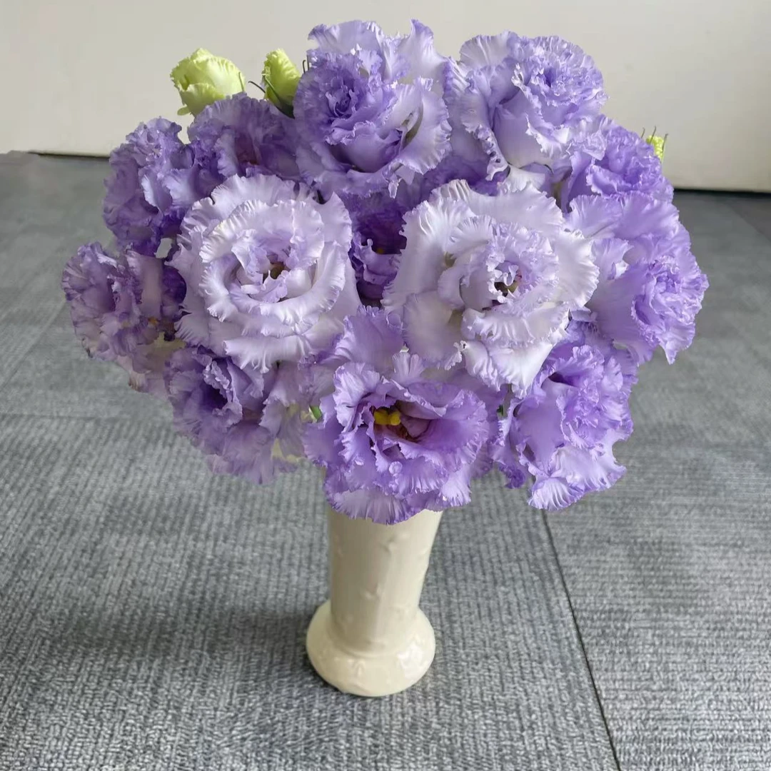 【波浪浅紫洋桔梗400g】全鲜花次日达批发直播品质鲜花 全场任意满两单顺丰包邮