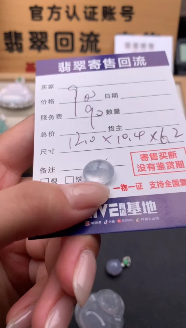 翡翠未镶嵌颈饰10134278