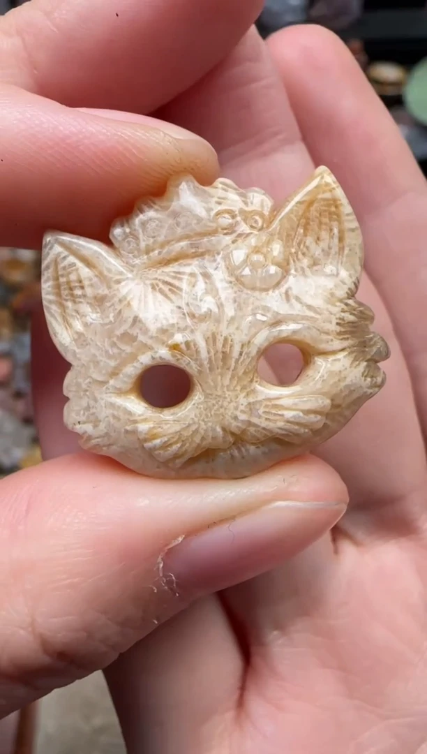 颈饰未镶嵌硅化珊瑚（珊瑚玉）672