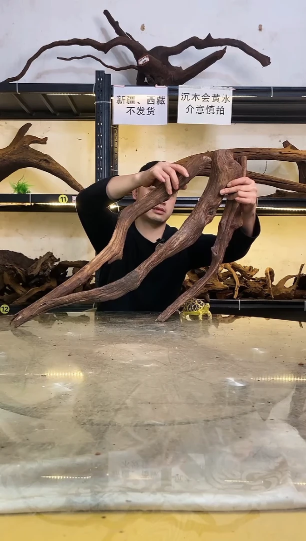 【闪购商品】柚木木艺55-78-73鱼缸造景沉木11