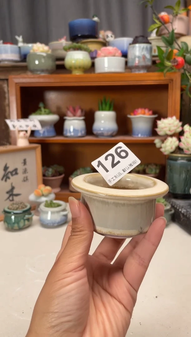 瓷片126知木小芳花盆编号