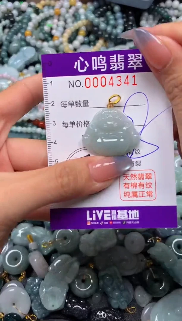颈饰未镶嵌翡翠闪购004341
