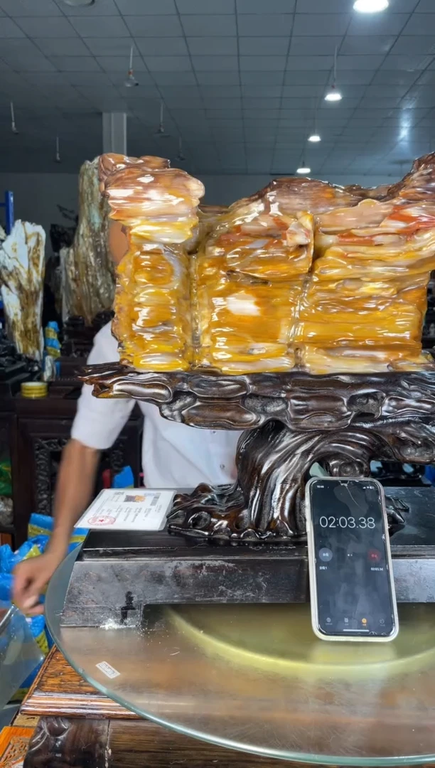 未镶嵌摆件硅化玉乌*9