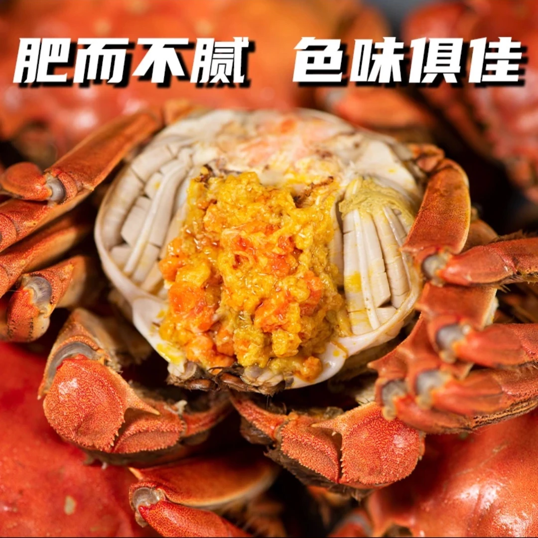 【活蟹现发】江苏河蟹 全母蟹 2.0-1.7两 8只 去绳裸重 礼盒顺丰
