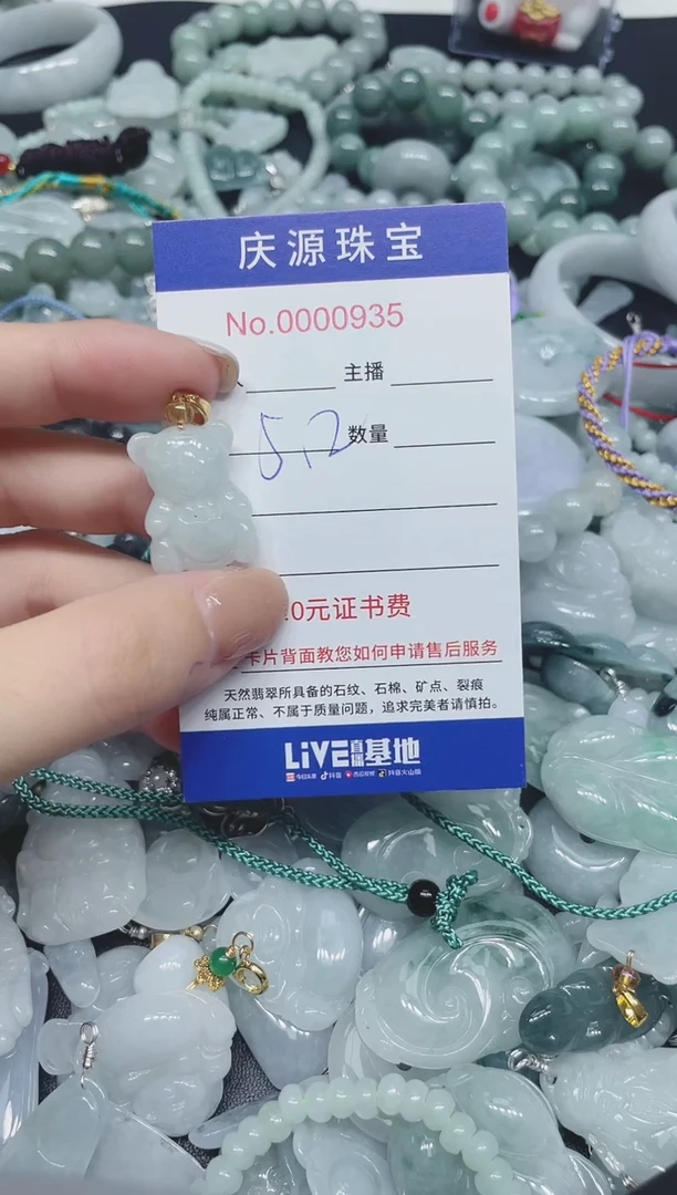 翡翠未镶嵌颈饰233（多样性发其一）