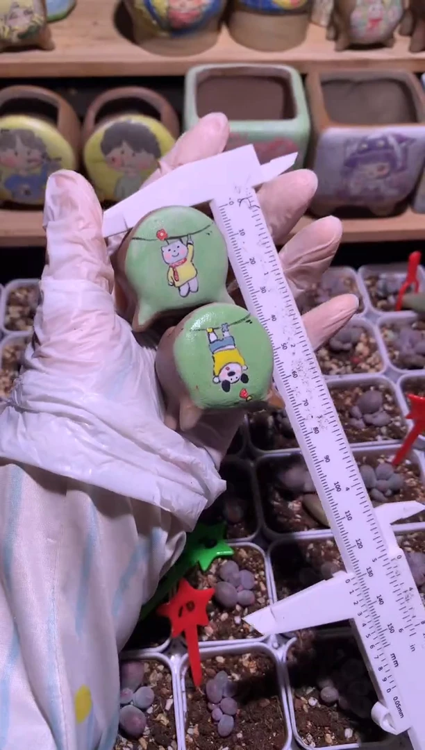 一对花盆哦哈哈啊1