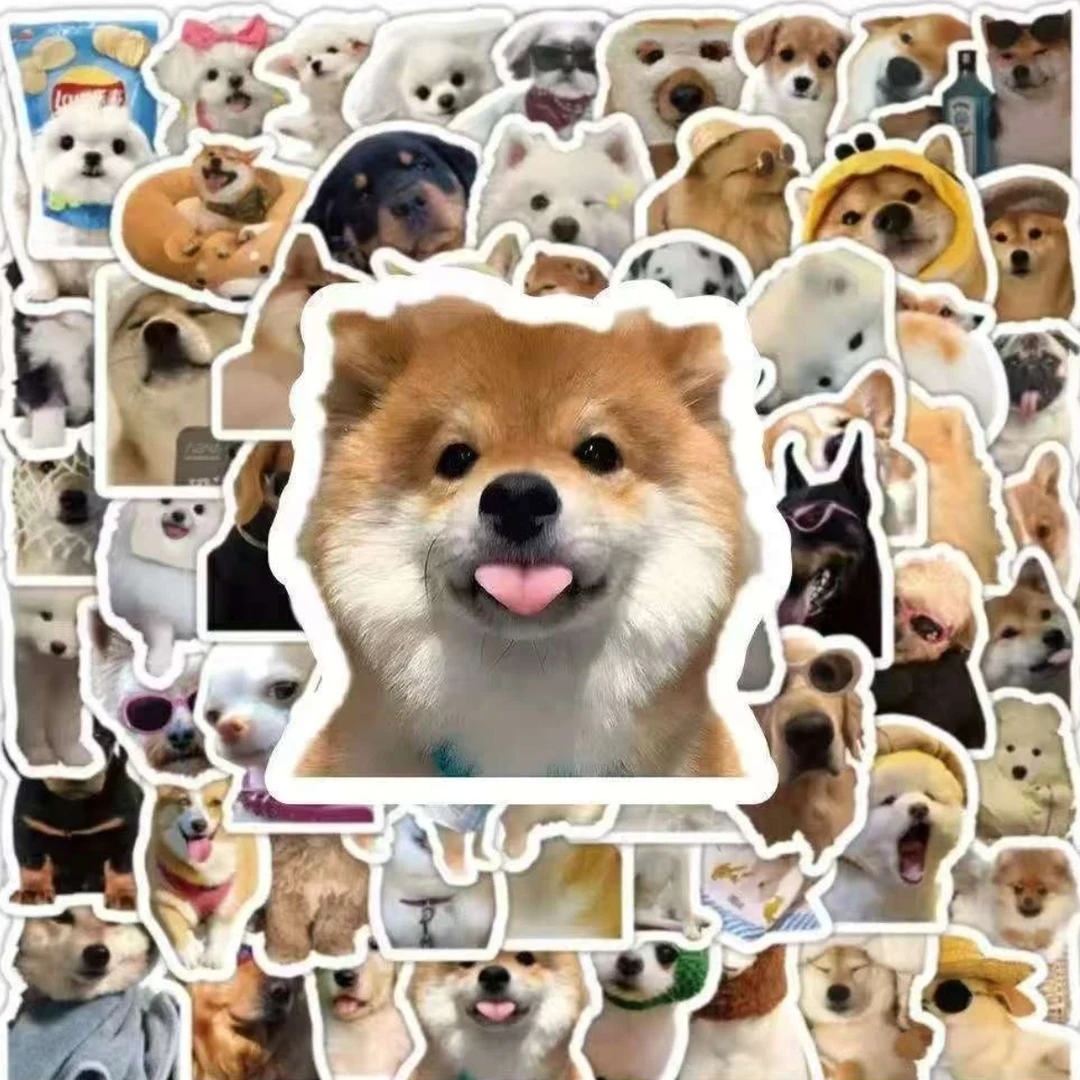 阿齐宠物定制相册