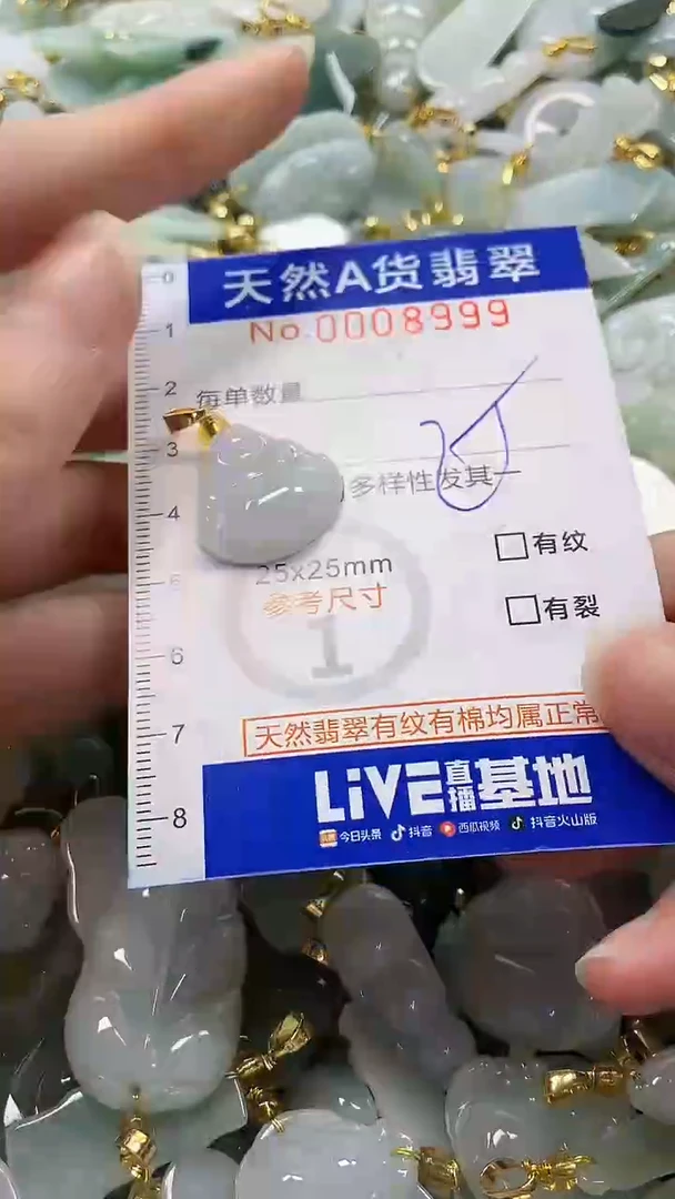 颈饰未镶嵌翡翠纯天然a货翡翠