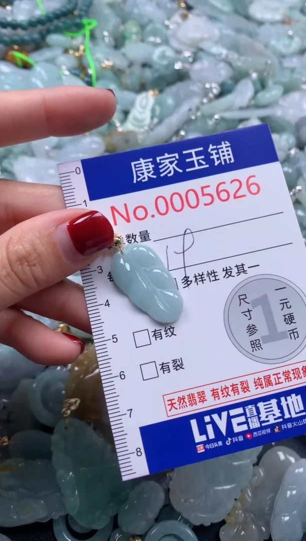 颈饰未镶嵌翡翠5626