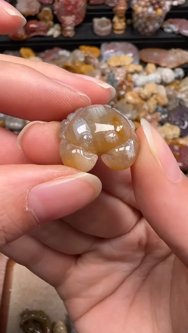 硅化珊瑚（珊瑚玉）未镶嵌颈饰570