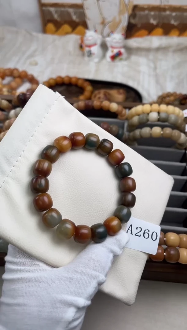 菩提根/象牙果手串✨**✨a260卡14 干磨