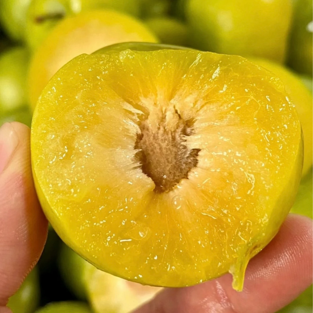 澳洲蜜糖李25.8元/份约400g