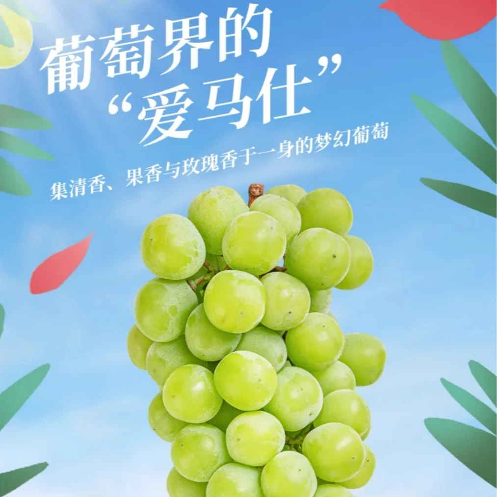 【顺丰包邮】头茬阳光玫瑰葡萄新鲜采摘脆甜多汁无籽
