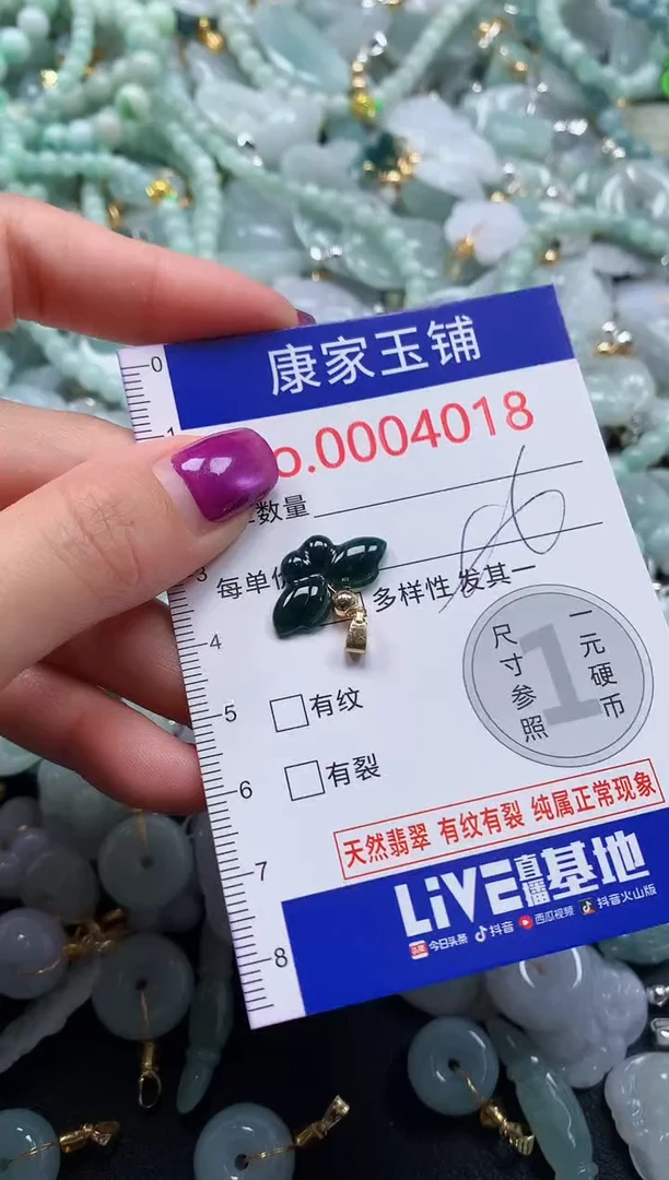 颈饰未镶嵌翡翠4018