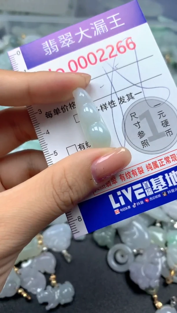 颈饰未镶嵌翡翠2266