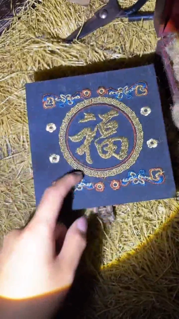 琪琪精品链接66666666