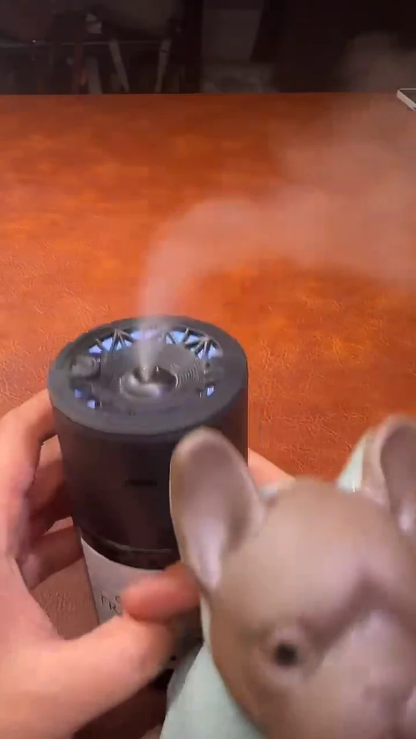 瓷片瓷器瓷器瓷器瓷器