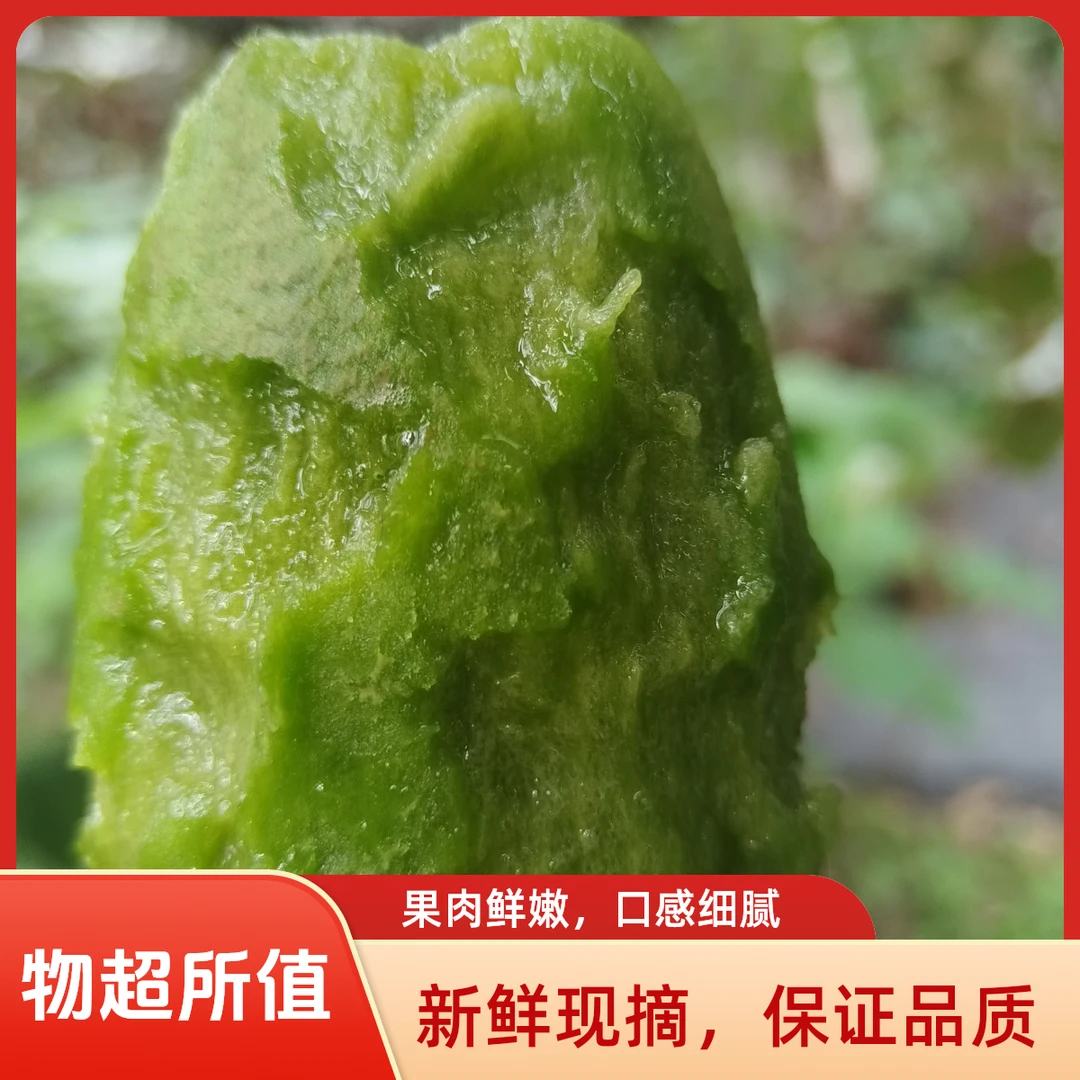 正宗修文阳名猕乡贵长猕猴桃原产地直销新鲜自产自销一件代发