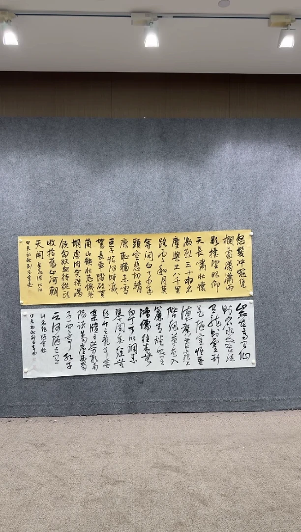 【闪购商品】书法pmw不二轩旗舰店书法ZL14