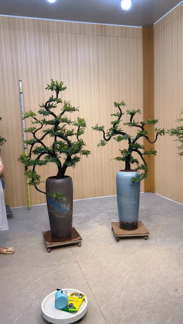 无花朵用****0左边小叶紫檀小叶紫檀