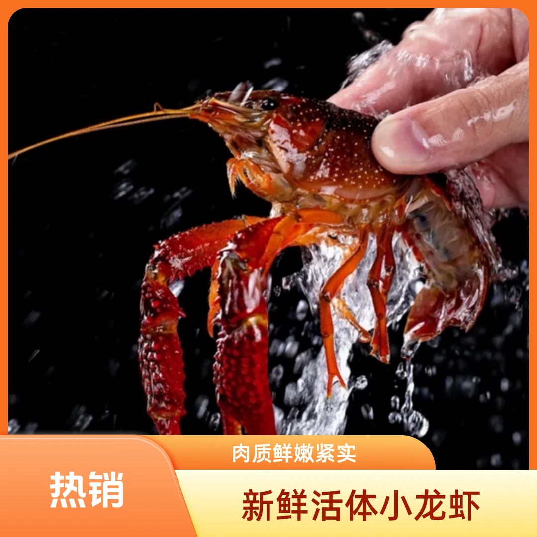 【冯长广小时达】中小青 鲜活小龙虾一斤约20个
