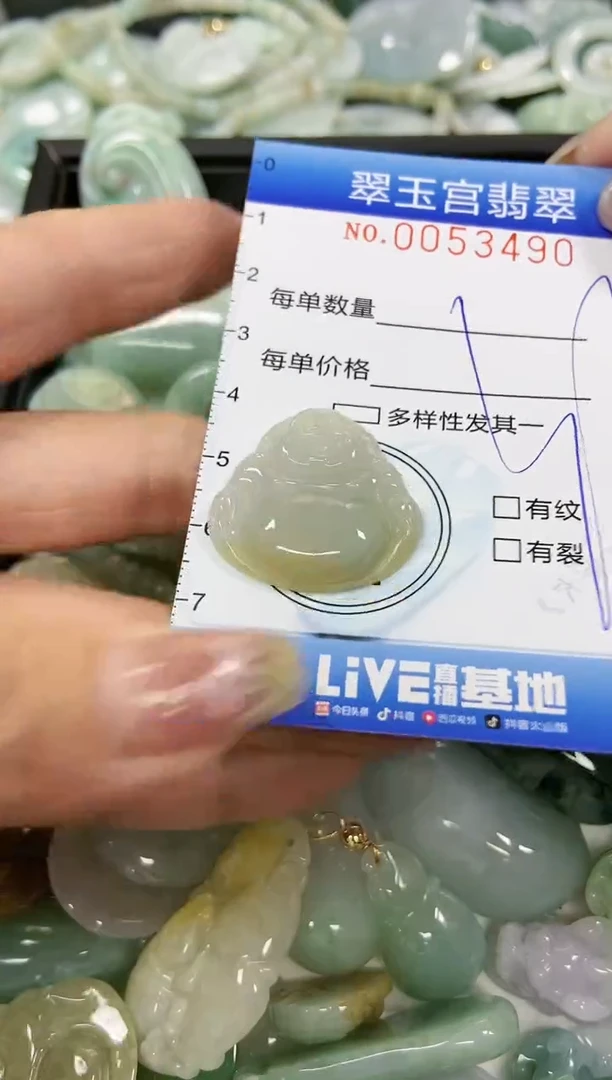 【闪购商品】翡翠颈饰未镶嵌闪购0053490