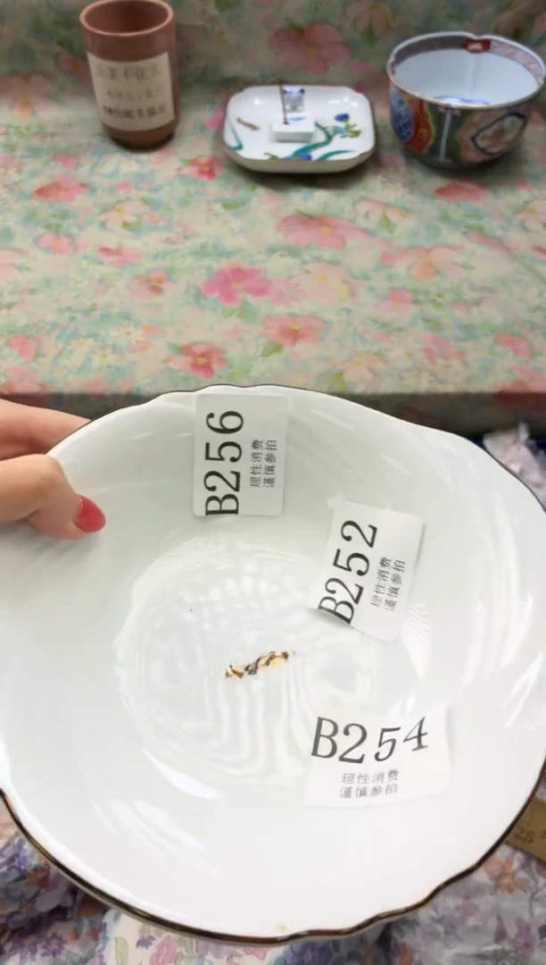 瓷片透**色       B256