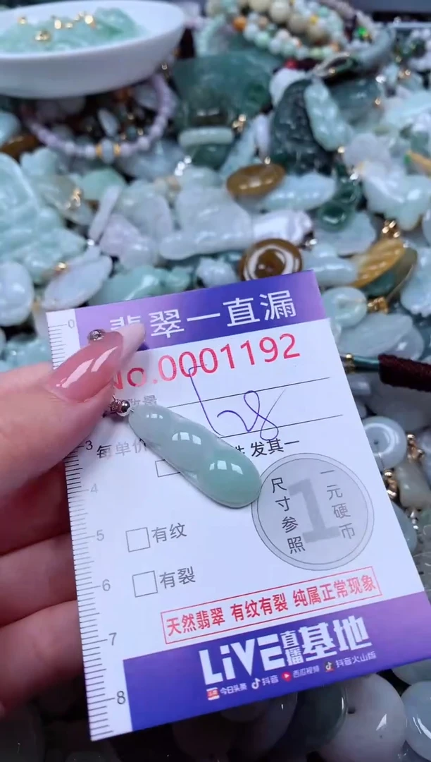 翡翠未镶嵌吊坠(不含链)1192