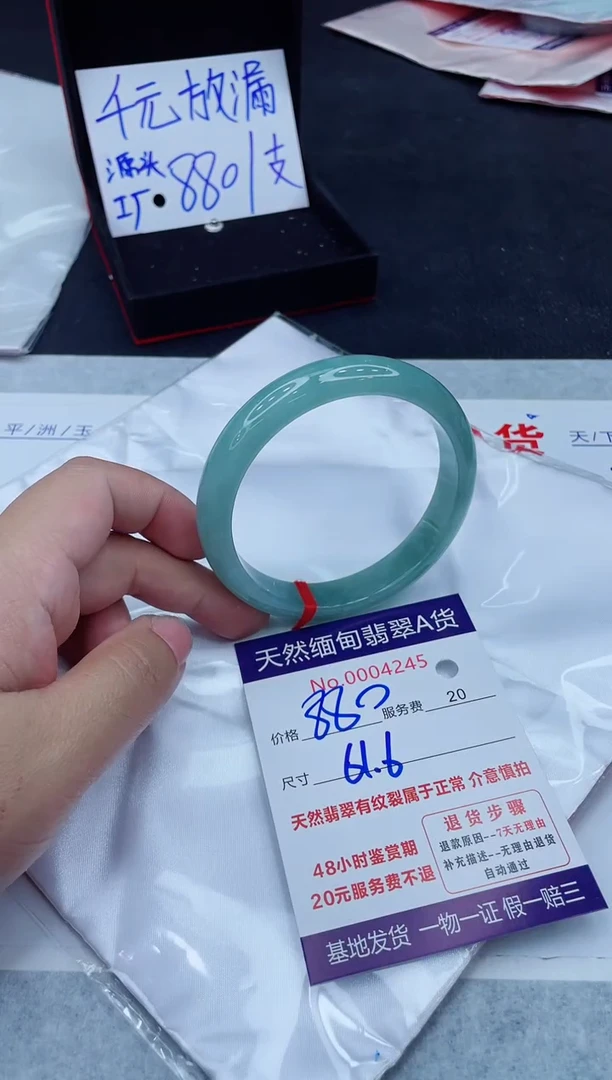 未镶嵌手镯翡翠880.0000