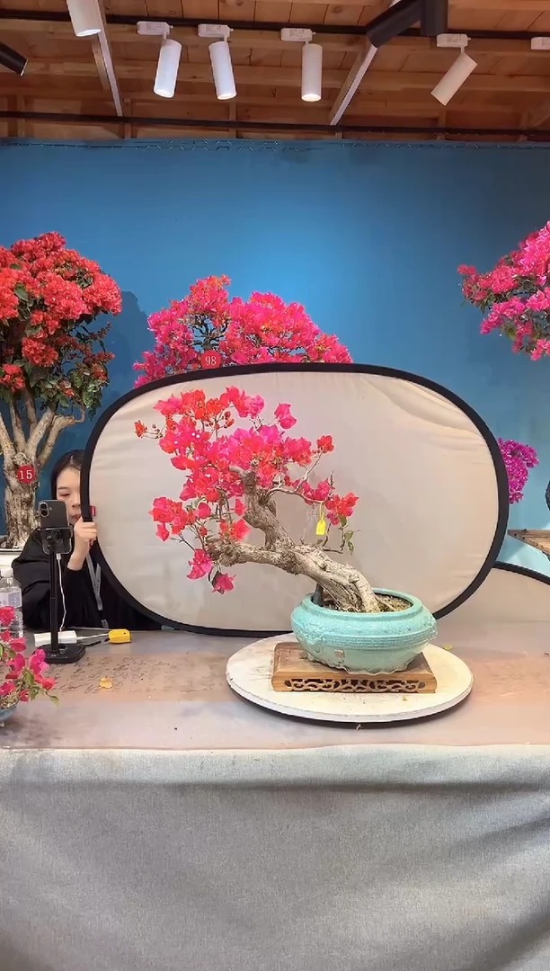 少量花朵（建议范围：2朵-5朵 或40%以下）同安红