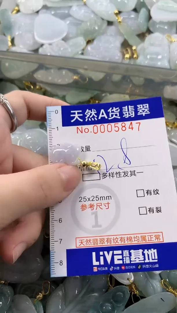颈饰未镶嵌翡翠天然A货翡翠
