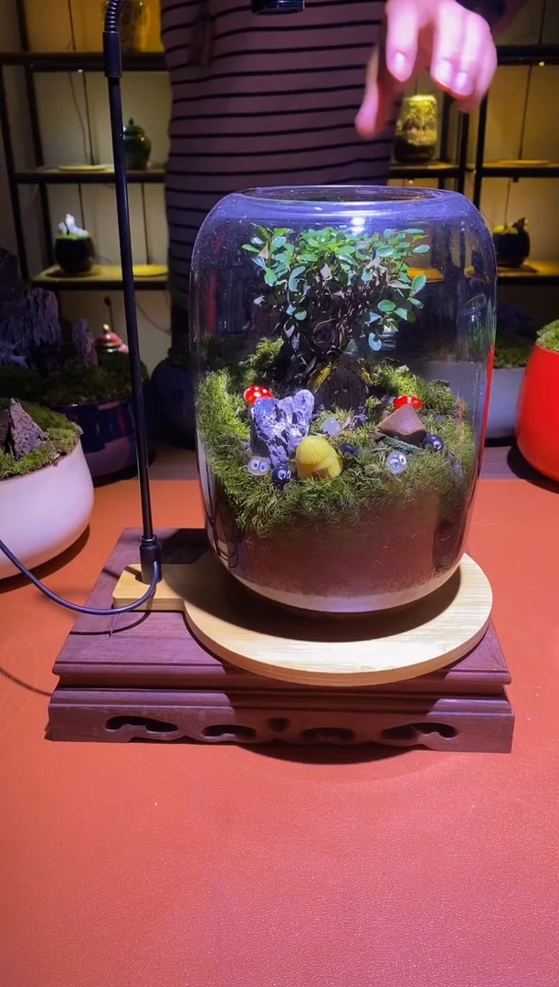 吉鑫福利精选福力