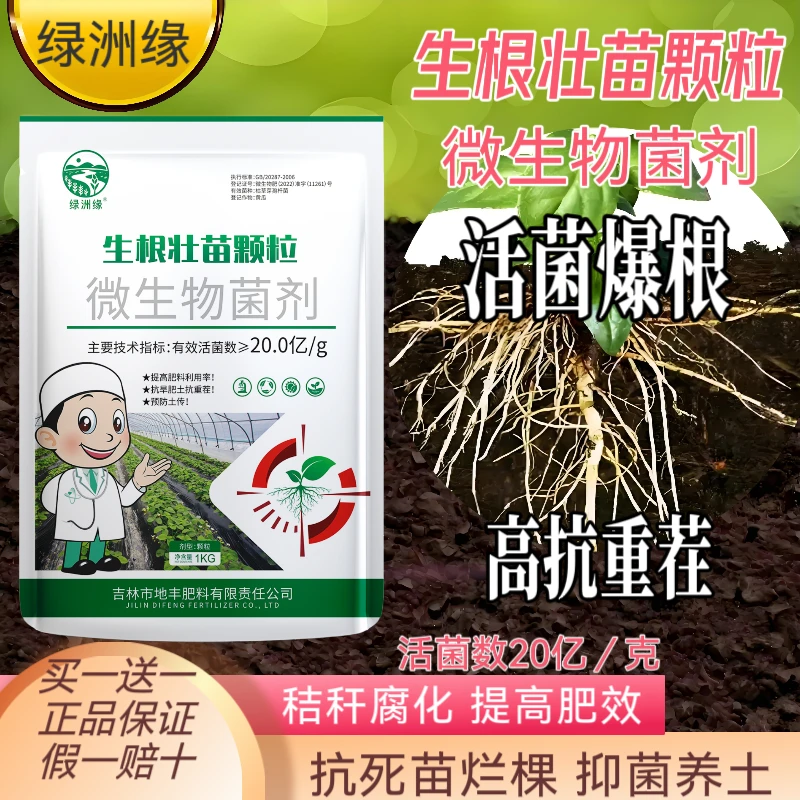生根壮苗颗粒20亿微生物菌剂