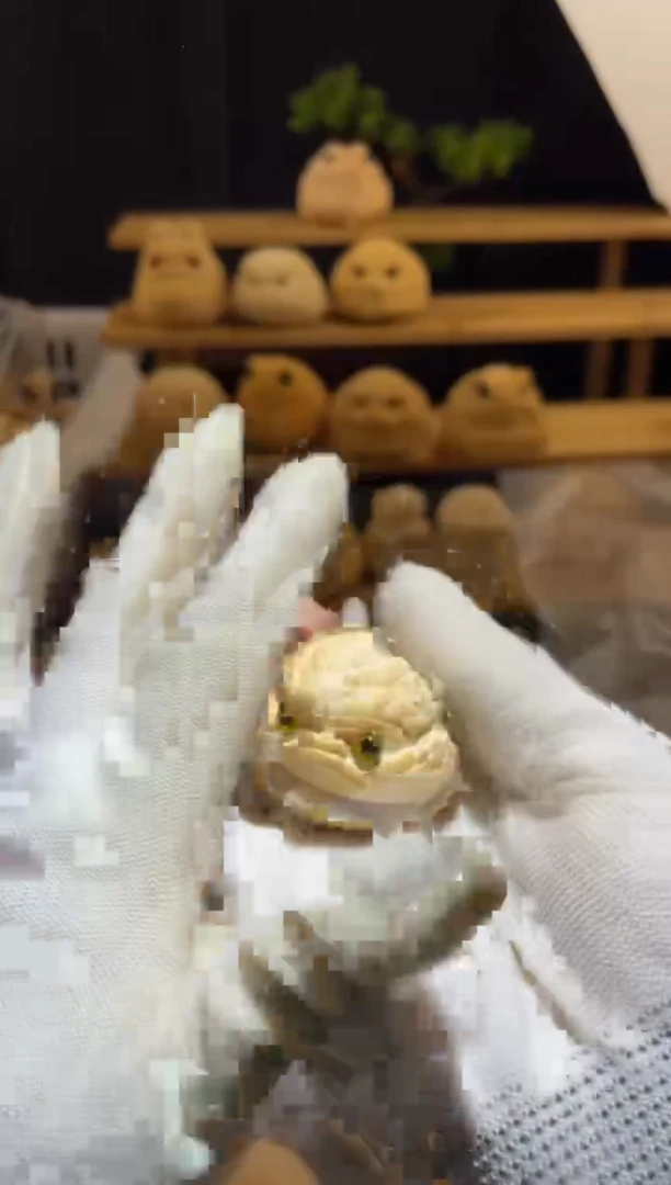 竹小恶霸11111111111