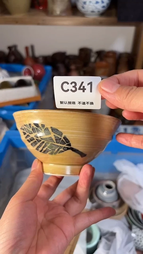 瓷片喵喵家都是大漂亮