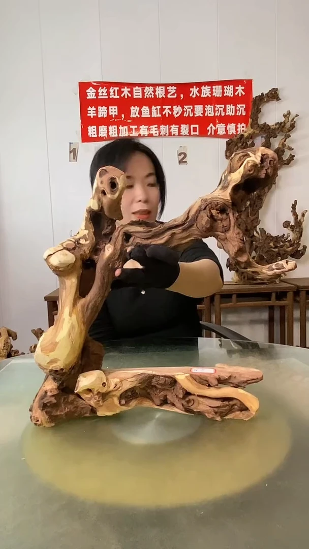 木医*金丝红木 羊蹄甲