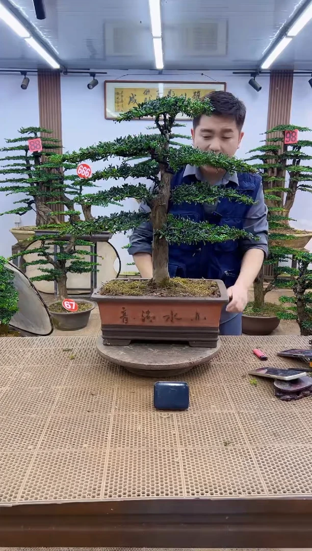 无花朵一物一拍，所见即所得